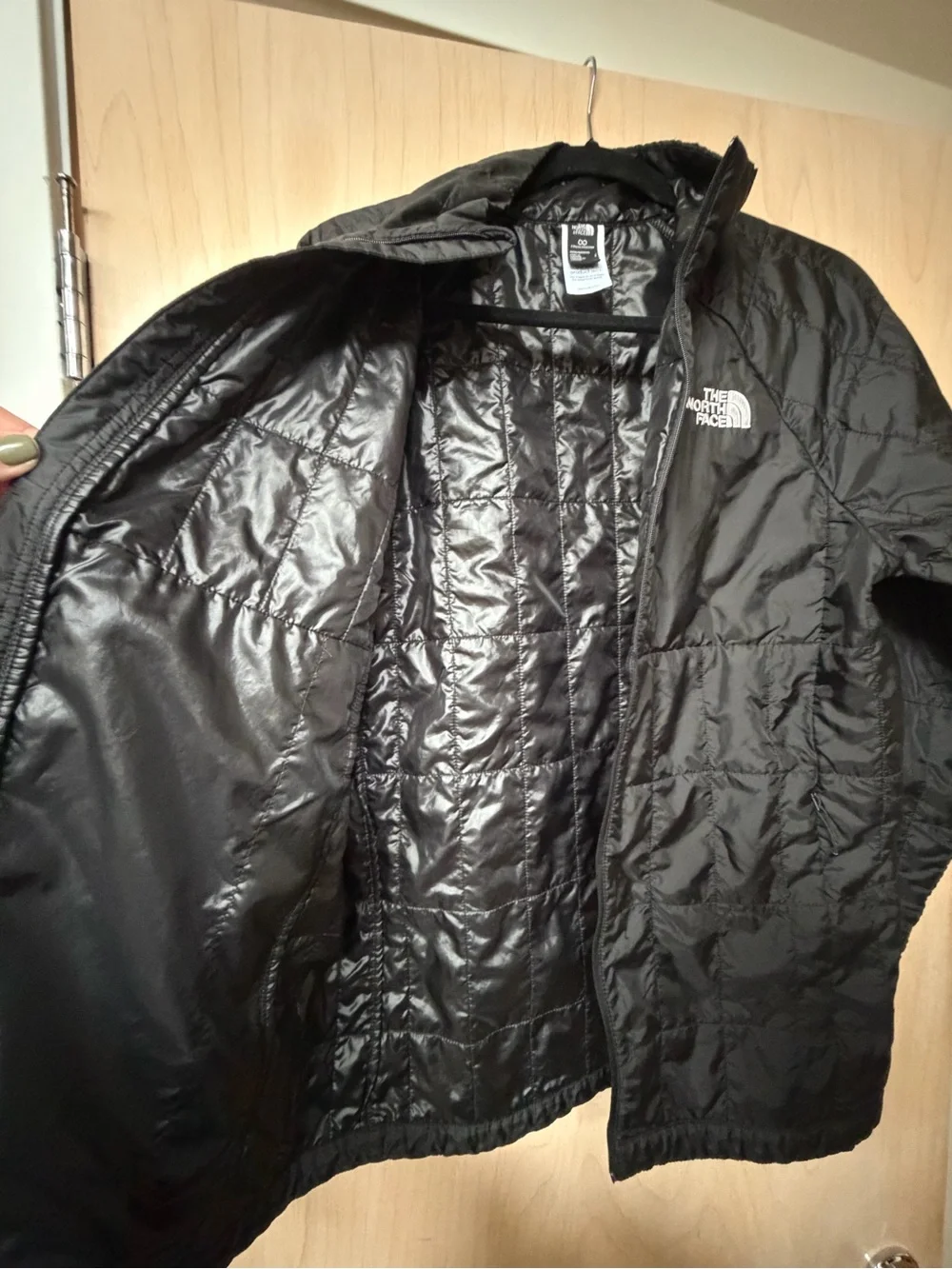 The North Face Black Men's Quilted Insulated Puffer Jacket